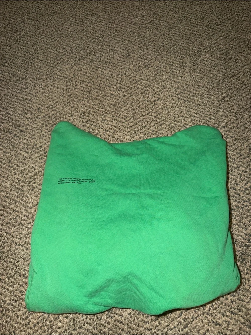 Pangaia Green Hooded Sweatshirt with Subtle Chest Print